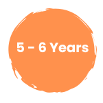 5 - 6 years